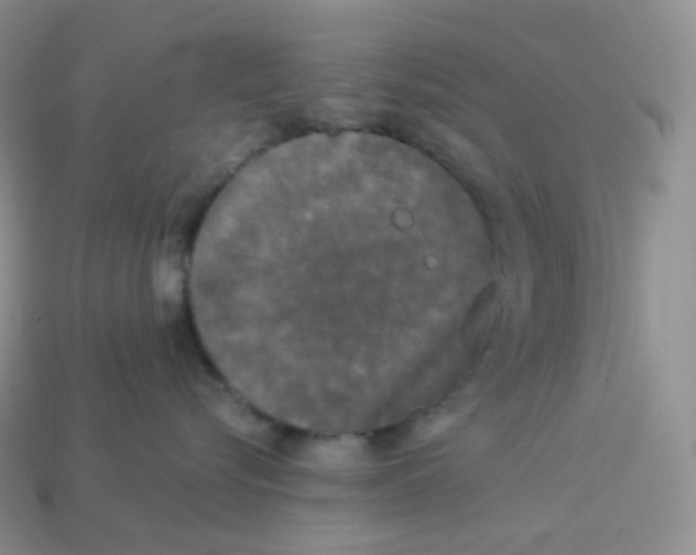 X0000113920576200910151442