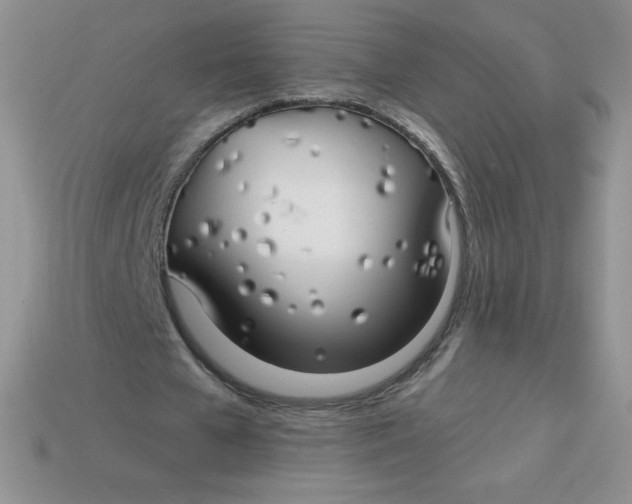 X0000113920577200910151441