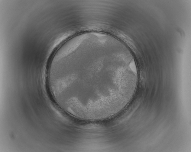 X0000113920578200910151441
