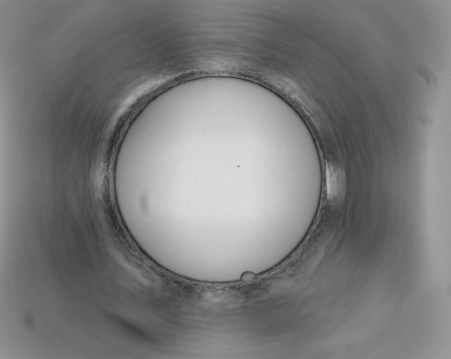 X0000113920579200910151441