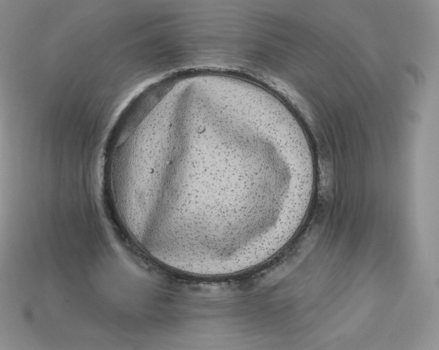 X0000113920580200910151441