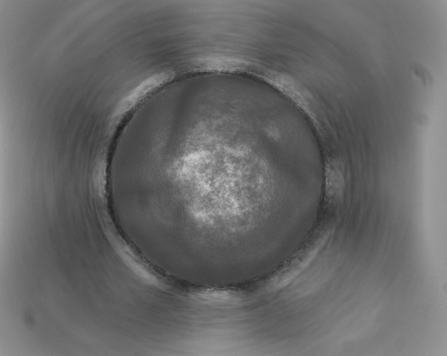 X0000113920581200910151441