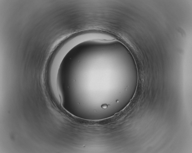 X0000113920583200910151441