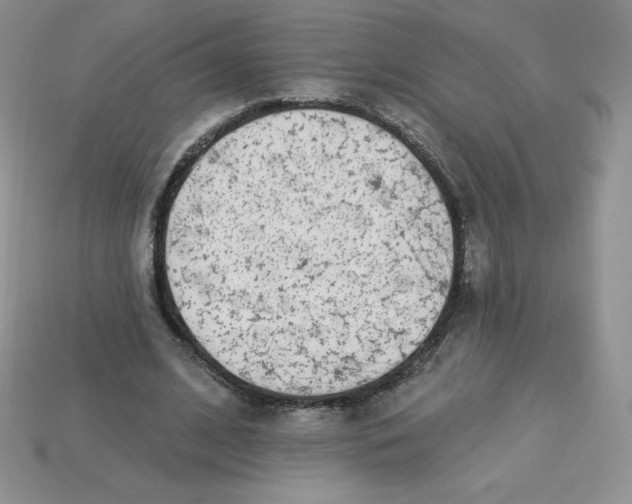 X0000113920584200910151441