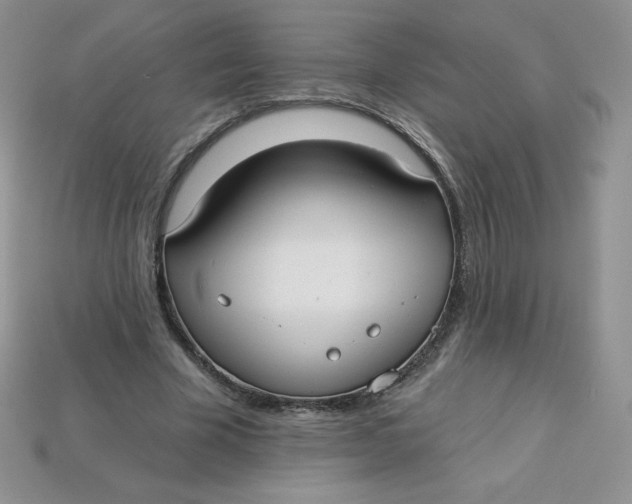 X0000113920585200910151441