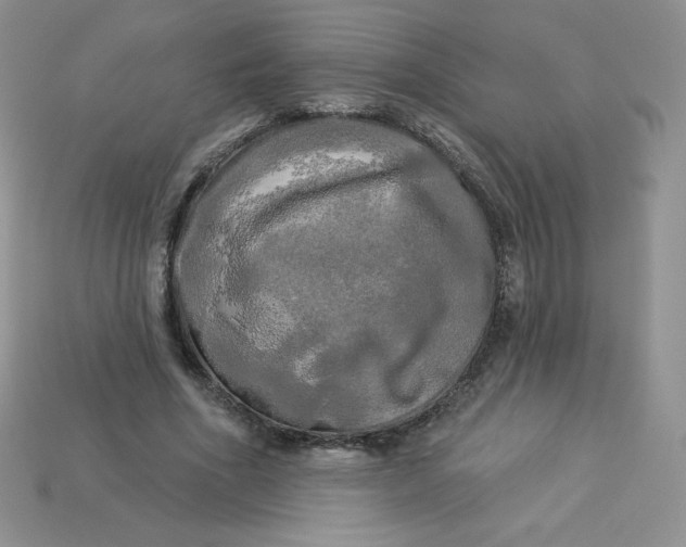 X0000113920586200910151441