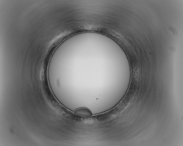 X0000113920587200910151441