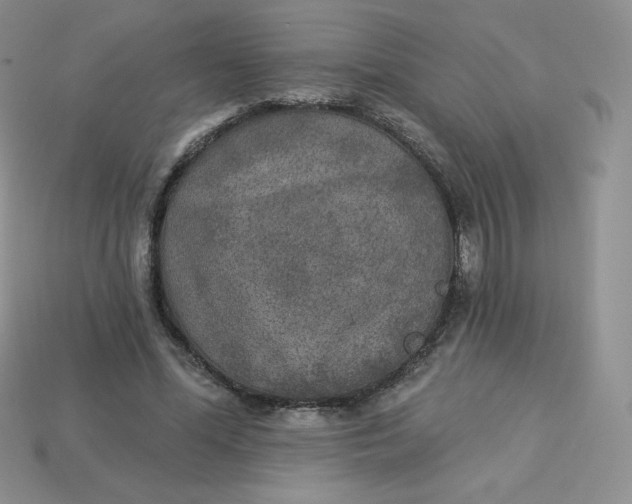 X0000113920588200910151441