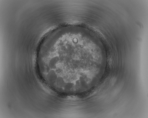 X0000113920591200910151441