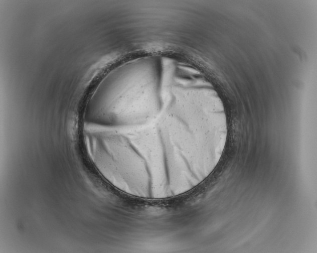 X0000113920592200910151441