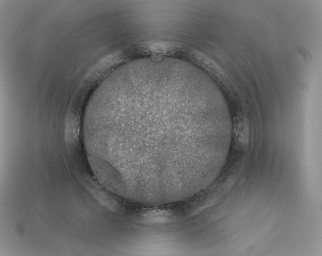 X0000113920593200910151441