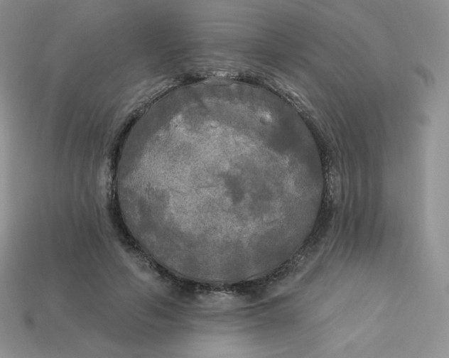X0000113920594200910151441