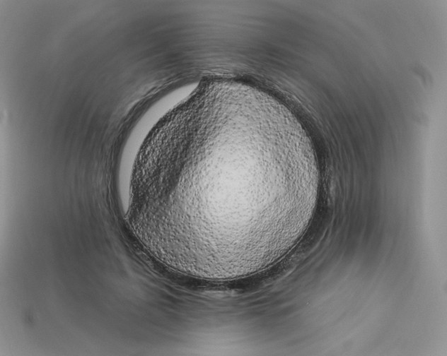 X0000113920595200910151441
