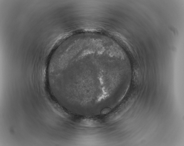 X0000113920596200910151441