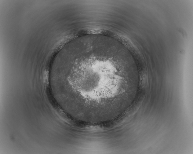 X0000113920598200910151441
