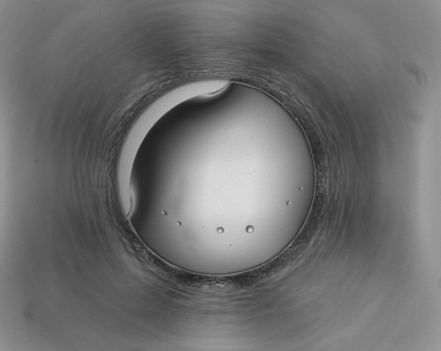 X0000113920599200910151441