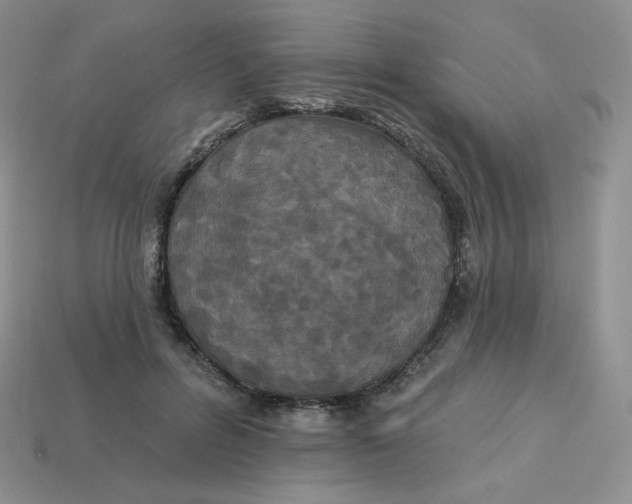 X0000113920600200910151441