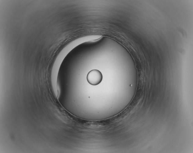 X0000113920601200910151441