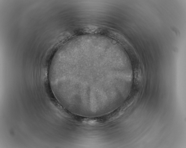 X0000113920602200910151441