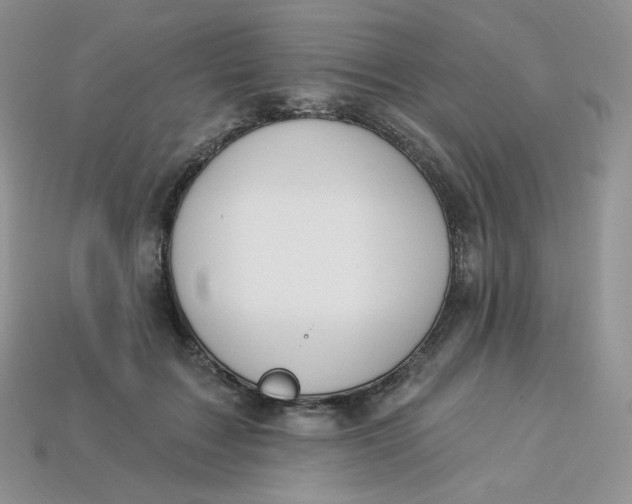 X0000113920603200910151441