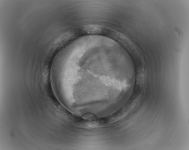 X0000113920604200910151441