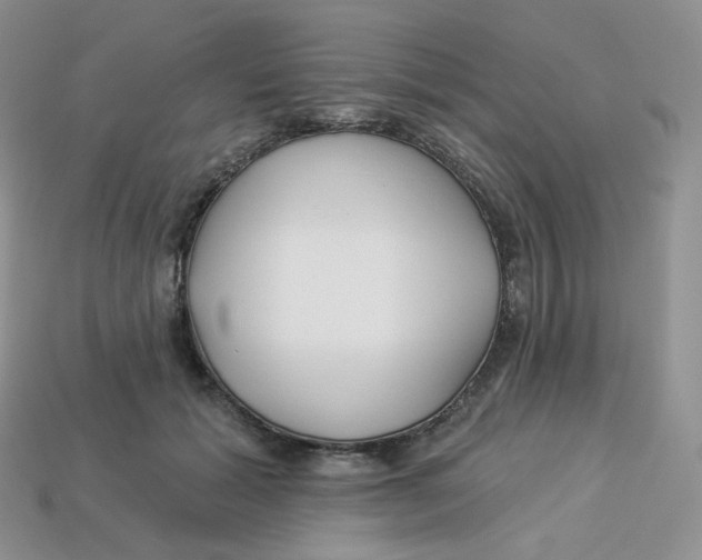 X0000113920605200910151441