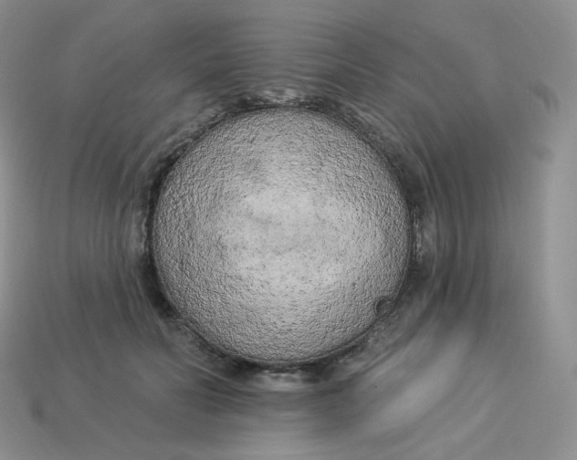 X0000113920606200910151441