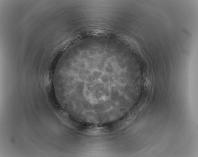 X0000113920607200910151441