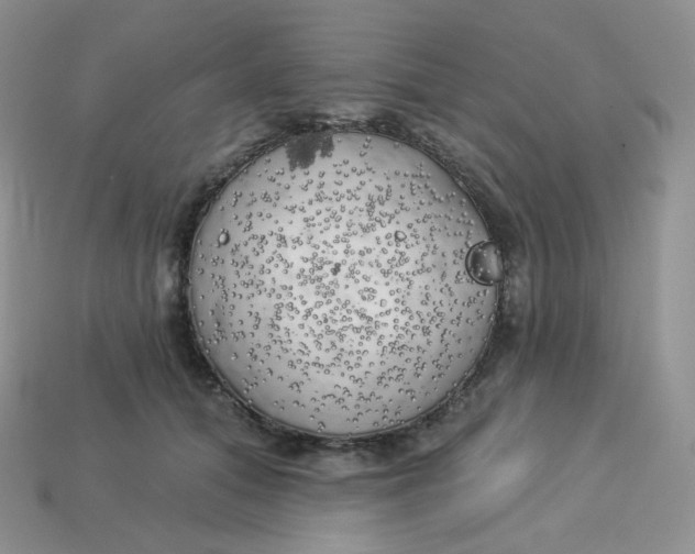 X0000113920608200910151441