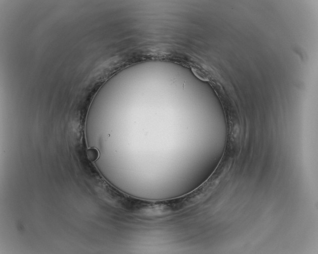 X0000113920609200910151441