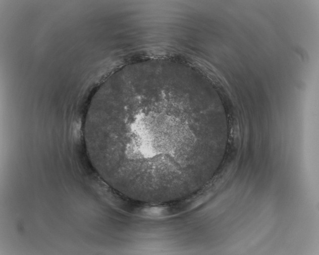 X0000113920610200910151441