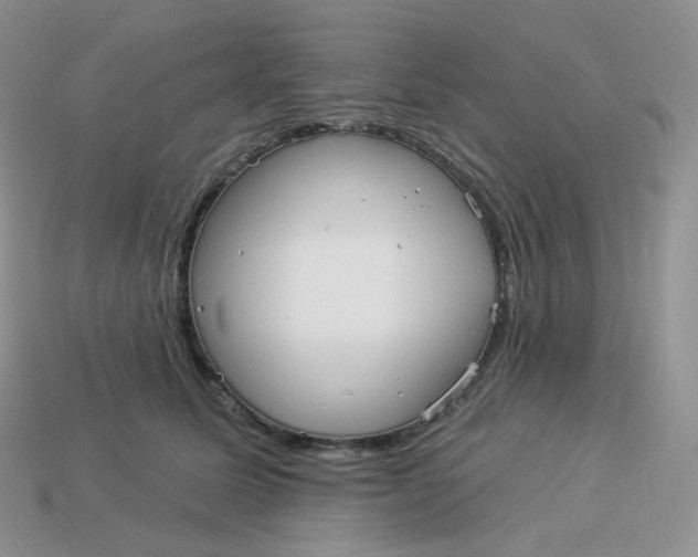 X0000113920611200910151441