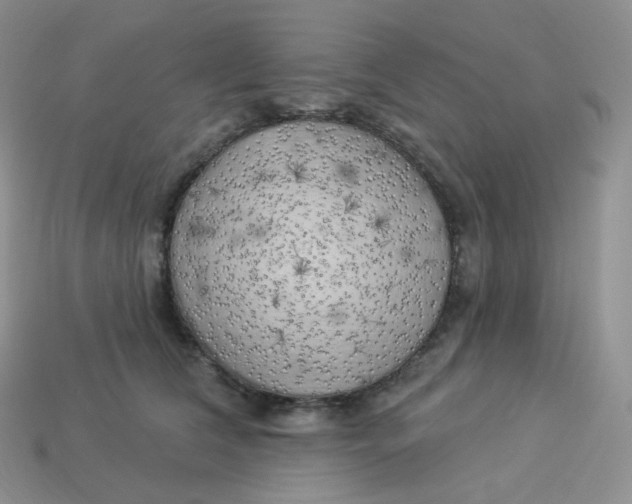 X0000113920612200910151441