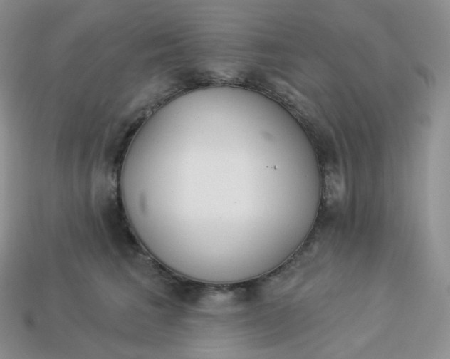 X0000113920613200910151441