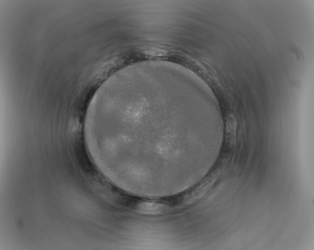 X0000113920614200910151441
