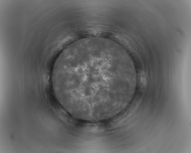 X0000113920615200910151441