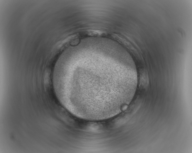 X0000113920616200910151441