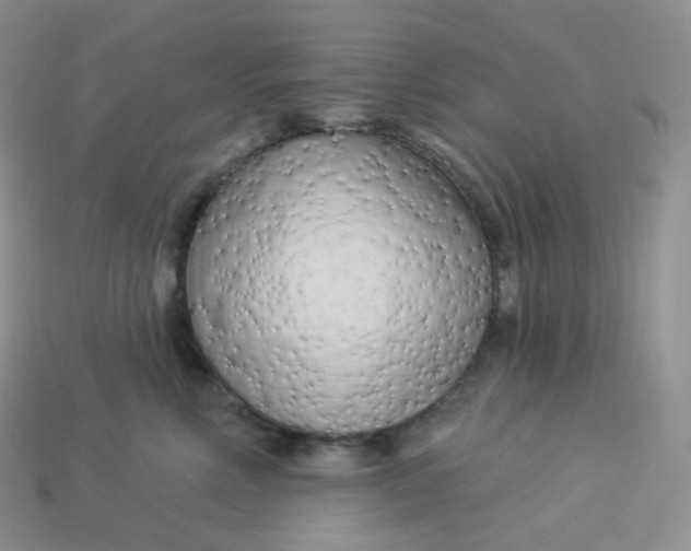 X0000113920618200910151441