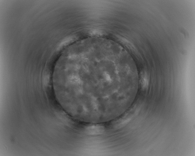 X0000113920619200910151441