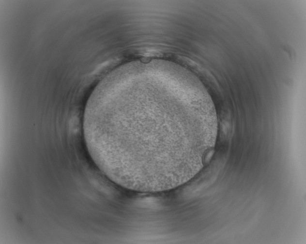 X0000113920620200910151441