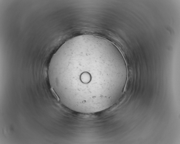 X0000113920621200910151441
