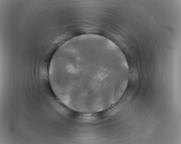 X0000113920622200910151441