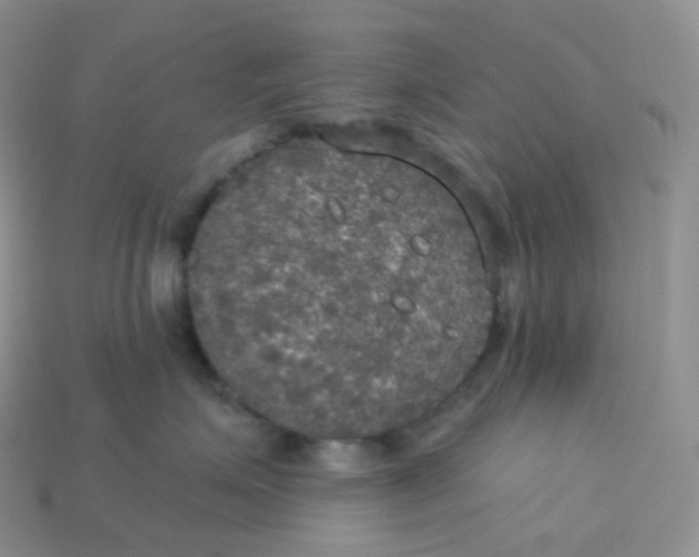 X0000113920623200910151441