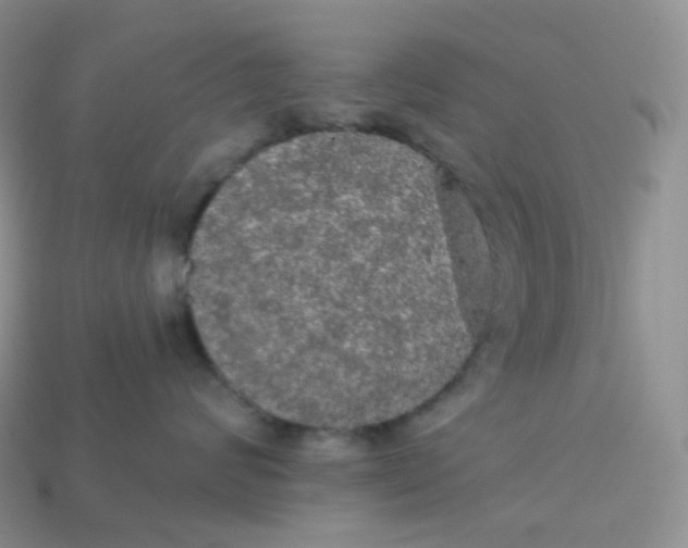 X0000113920624200910151441