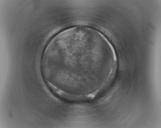 X0000113920625200910151440