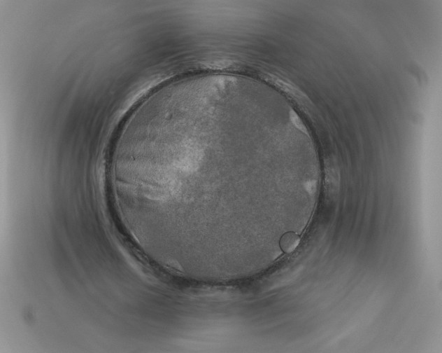 X0000113920626200910151440
