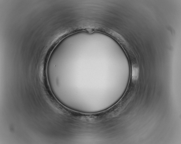 X0000113920627200910151440