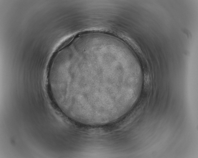 X0000113920628200910151440