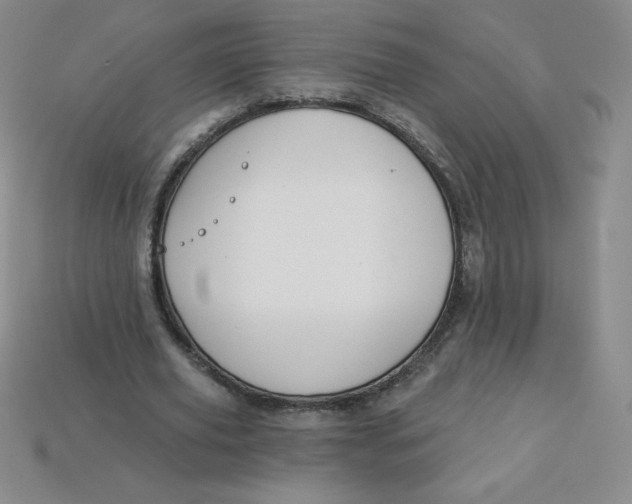 X0000113920629200910151440