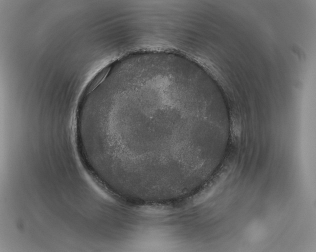 X0000113920630200910151440